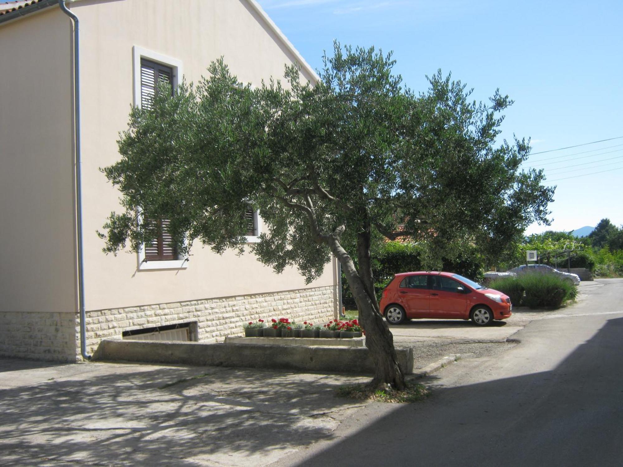 Apartments Blanka Zadar Luaran gambar